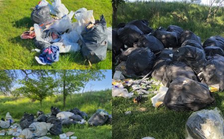 Sancțiuni drastice pentru abandonarea deșeurilor la Șag