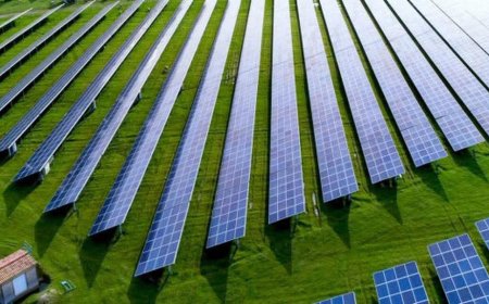 Parc fotovoltaic la Buziaș