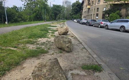 Simonis: „Când nu ai soluții administrative, îți cauți dușmani imaginari și te victimizezi”