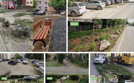 Primăria Timișoara contestă amenda Gărzii de Mediu