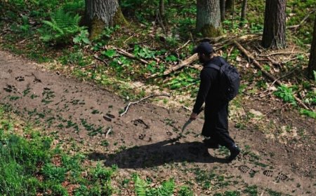 IPJ Arad, precizări despre imaginea virală care a speriat localnicii