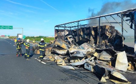 TIR cu vitrine frigorifice, cuprins de foc în mers la Balinț