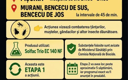 Dezinsecție terestră în comuna Pișchia