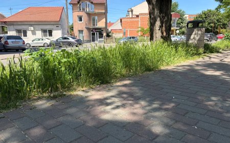 Revoltă la Lugoj.Zona de promenadă a Timișului, abandonată