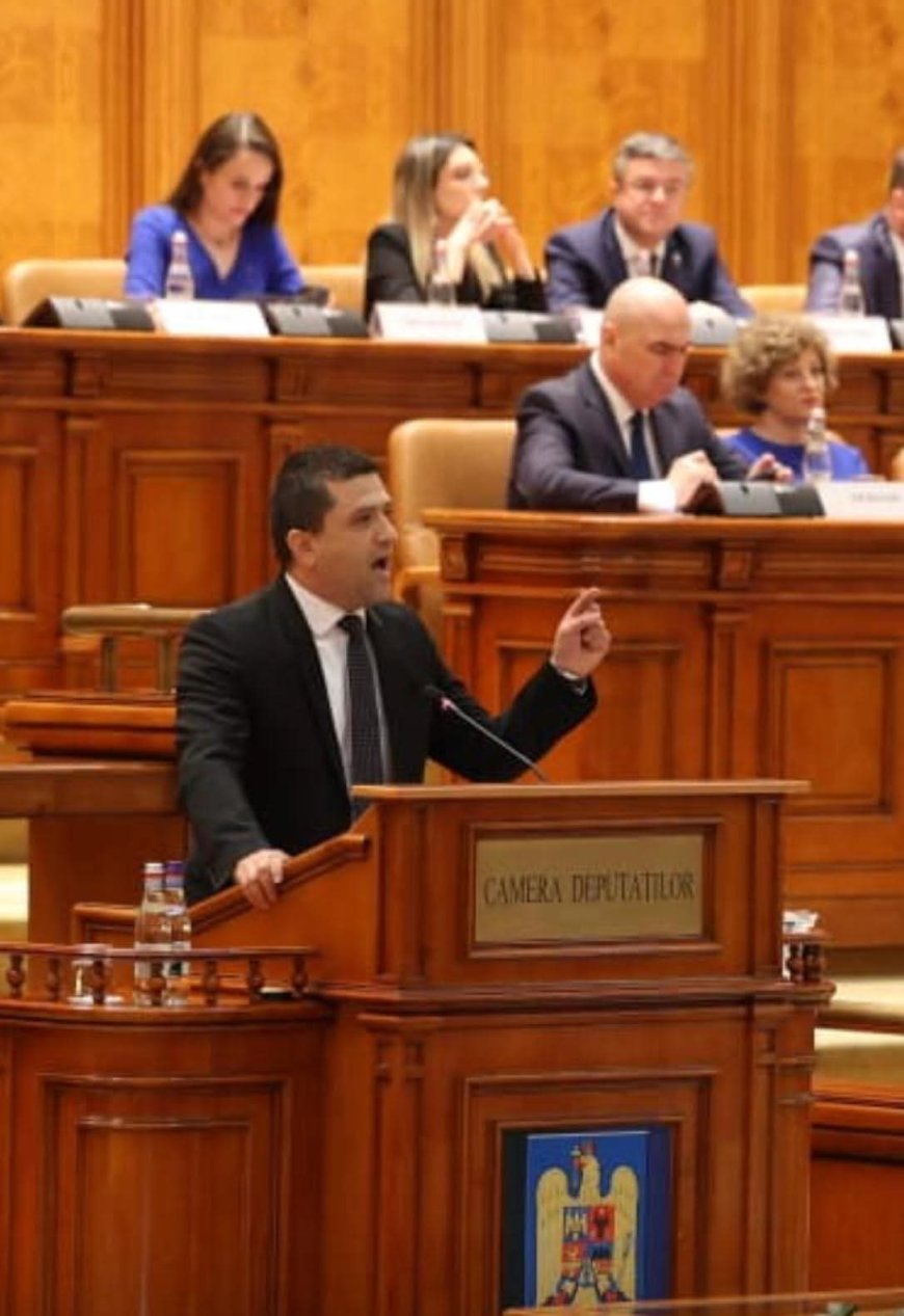 Fritz: "Nu vom permite ca PSD și AUR să întoarcă România în trecut"