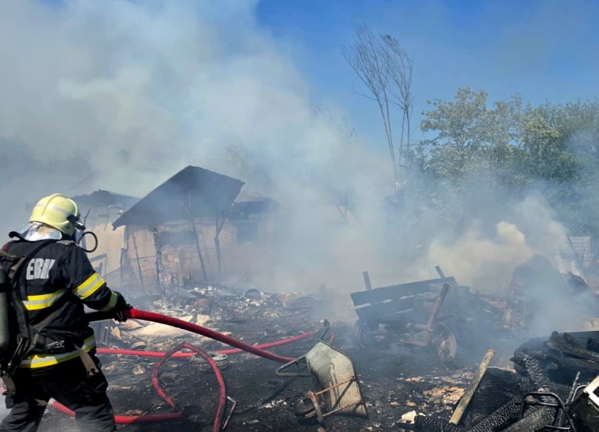 Animale moarte într-un incendiu, la Lugoj