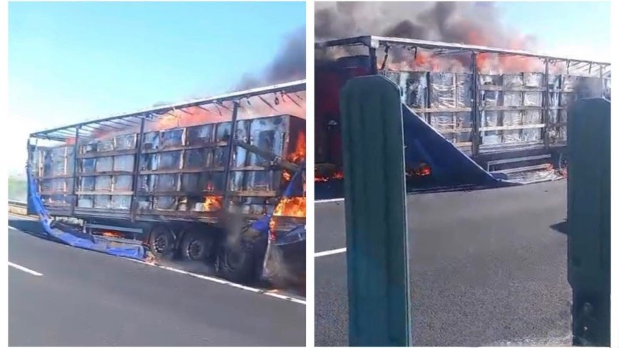 TIR cu vitrine frigorifice, cuprins de foc în mers la Balinț