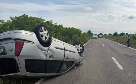 Accident în Timiș! Un cal a fost lovit mortal