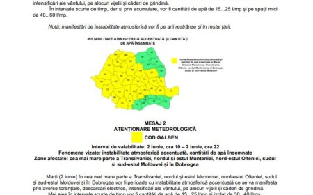 Cod galben în Timiș