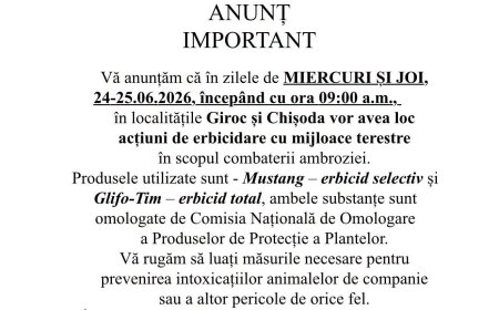 Erbicidare împotriva ambroziei la Giroc