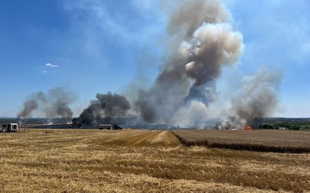 Intervenții intense ale pompierilor timișeni în weekend