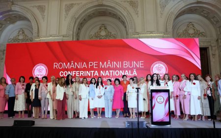 Conducere nouă la OFSD Timiș