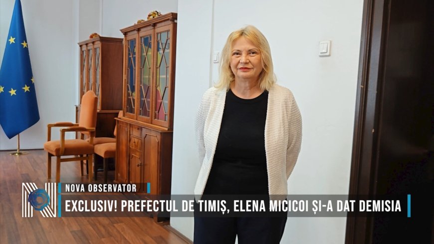 EXCLUSIV! Prefectul de Timiș, Elena Micicoi și-a dat DEMISIA