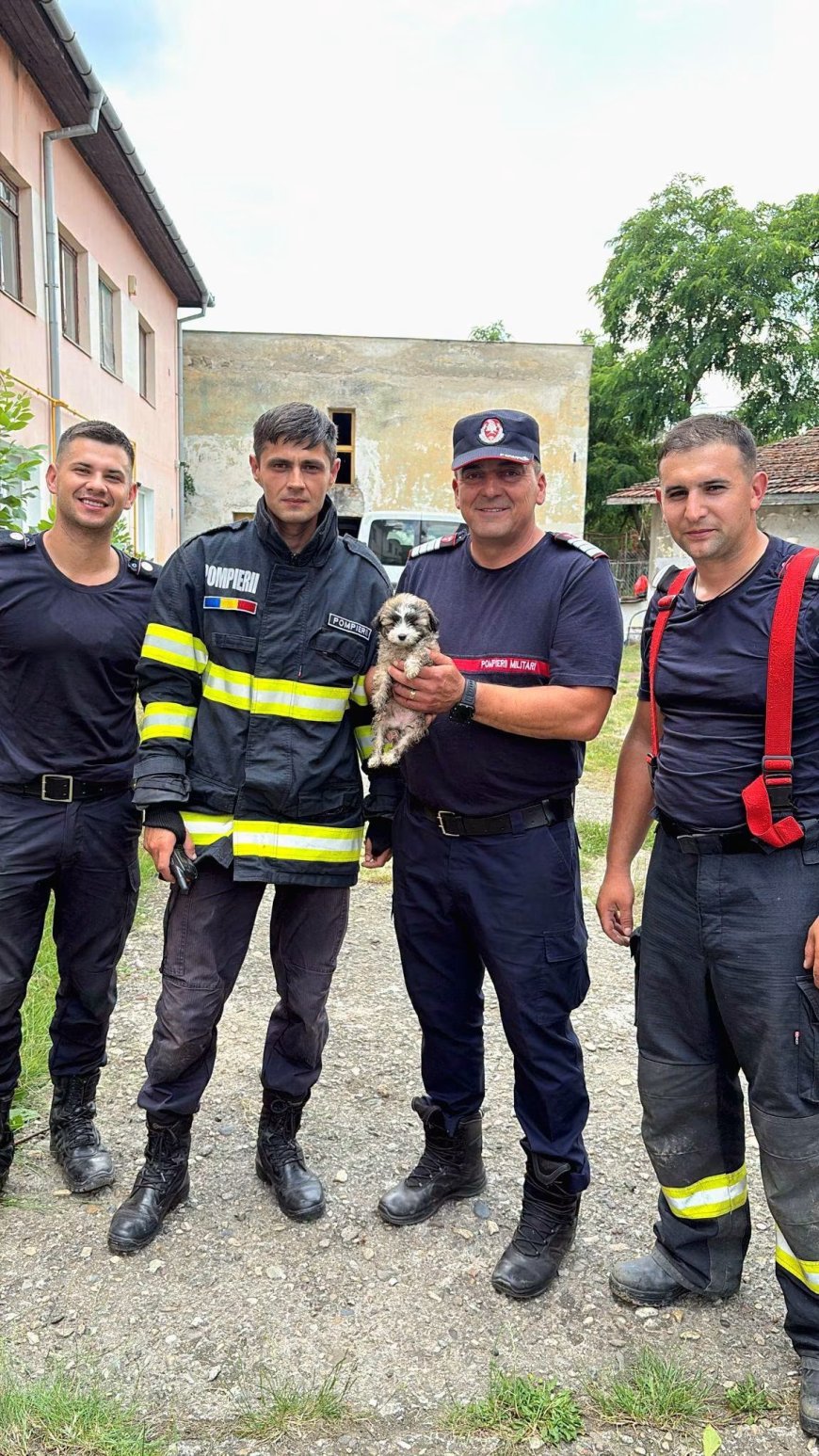 Cățel salvat dintr-un canal tehnologic la Timișoara după o intervenție a pompierilor