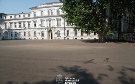O nouă față pentru Colegiul Național Bănățean