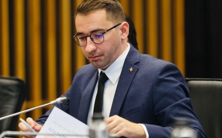 Alexandru Iovescu îi răspunde viceprimarului Paula Romocean: „CJ Timiș pune la dispoziție 5 hectare pentru mutarea păcănelelor”