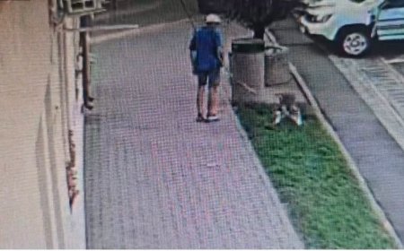 Curățenia nu este opțională la Giroc, ci obligatorie