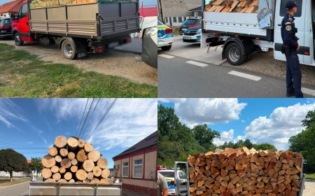 Amenzi și transporturi de lemne oprite, în Timiș