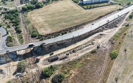 Proiectul pentru organizarea șantierului pasajului Slavici-Polonă intră în procedura de mediu
