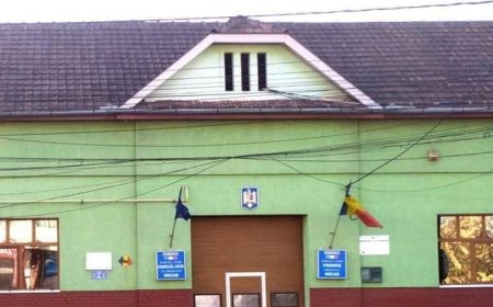 Campanie de colectare a deșeurilor din Recaș