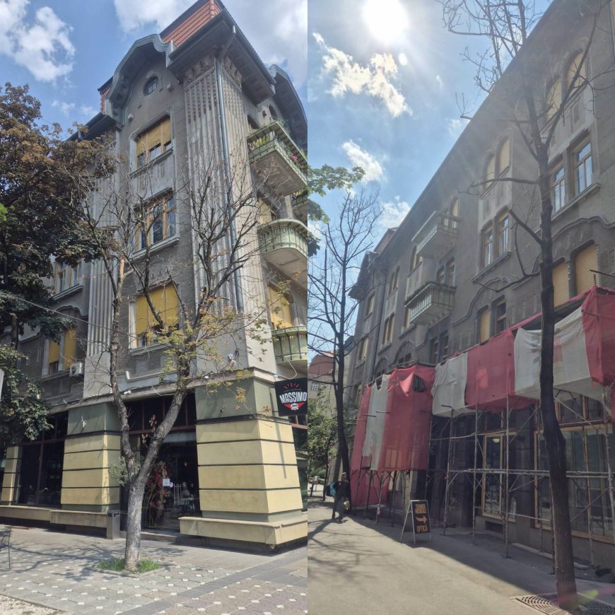 Defrișari în centrul Timișoarei