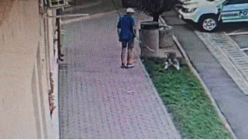 Curățenia nu este opțională la Giroc, ci obligatorie
