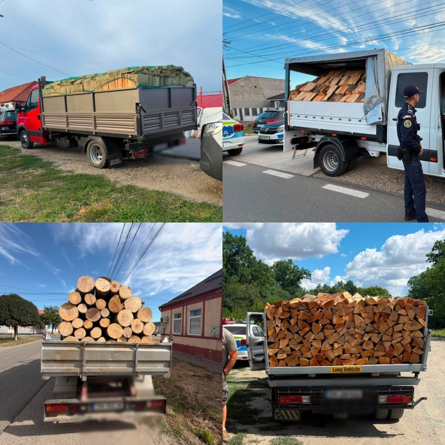 Amenzi și transporturi de lemne oprite, în Timiș