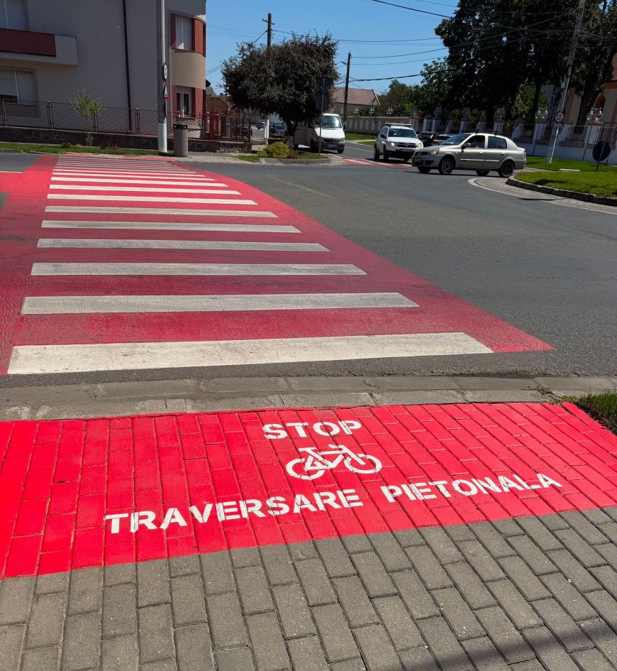 Siguranța în trafic începe cu respectarea regulilor