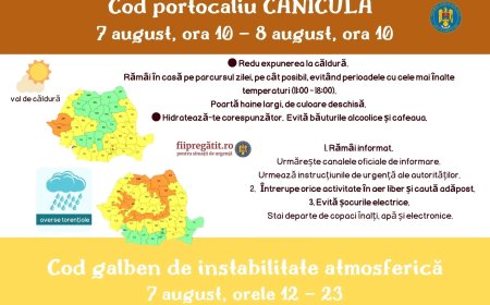 Cod galben și cod portocaliu în Timiș