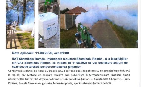 A doua dezinsecție în Sânmihaiu Român
