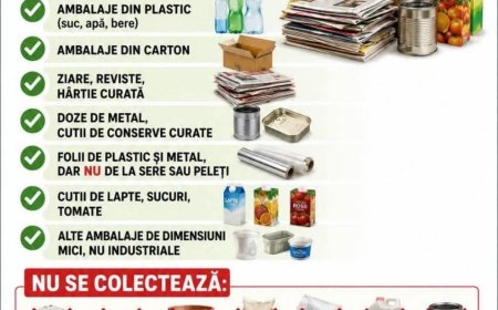 Se colectează deșeurile reciclabile din Dudeștii Vechi
