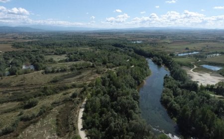 Județul Timiș devine regiune de replicare pentru soluțiile bazate pe natură