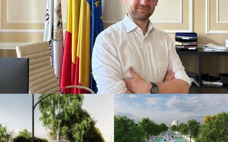 Oferte depuse pentru Magistrala Verde