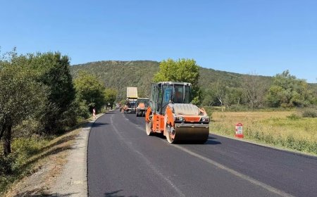 Lucrări pe DN 7, la limita județelor Arad și Hunedoara