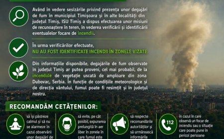 Fumul din Timișoara vine din Serbia
