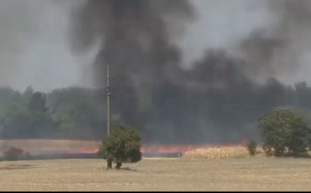 VIDEO | Moravița, alături de Serbia în lupta cu flăcările