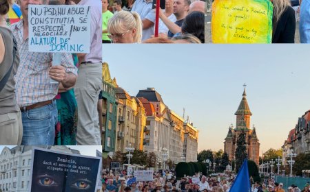 Timișorenii care sunt alături de Fritz au ieșit în stradă
