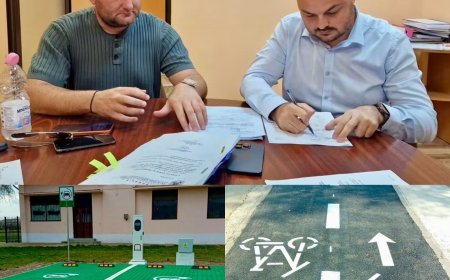 Proiecte verzi la Șandra