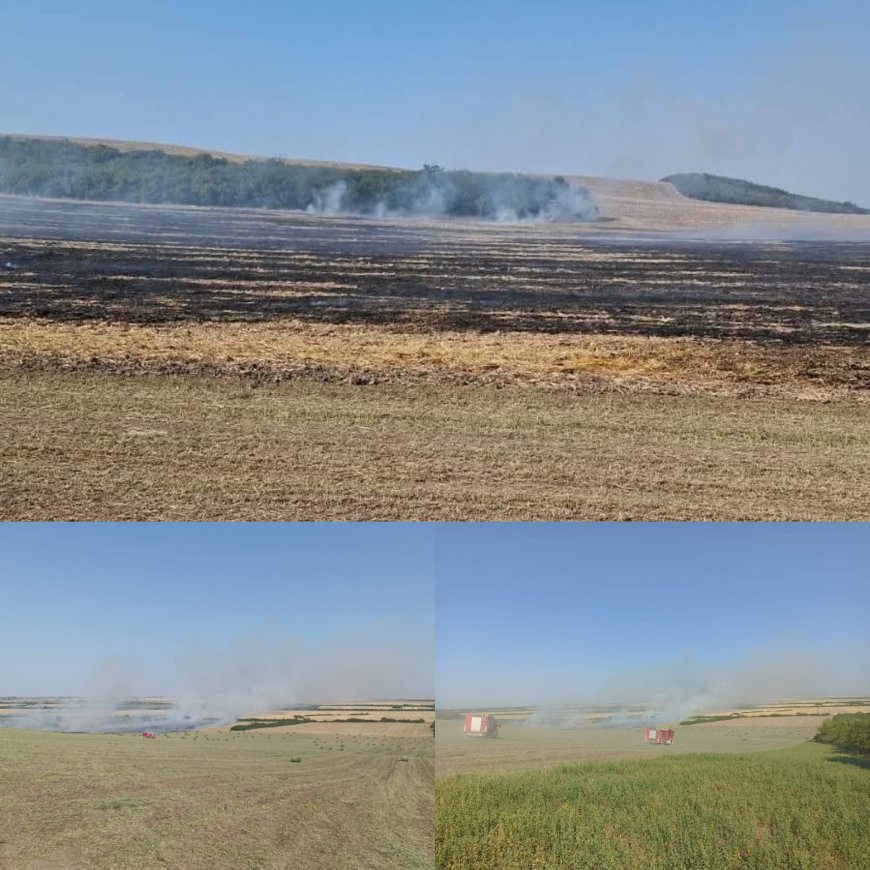 Incendiu de vegetație la Giarmata