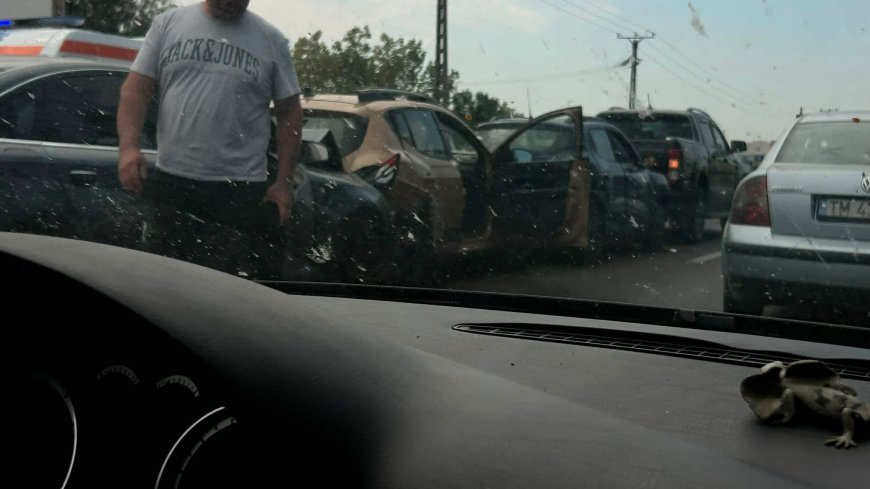 Accident pe Calea Șagului. Mai multe mașini avariate și trafic dat peste cap