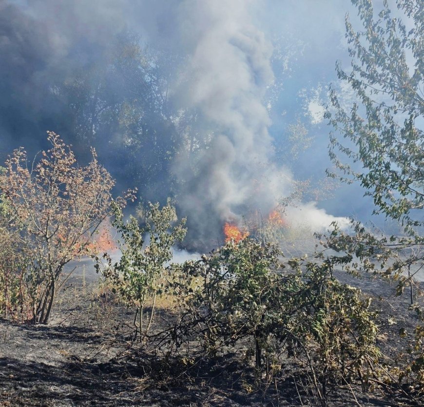 Un hectar de teren, mistuit de flăcări