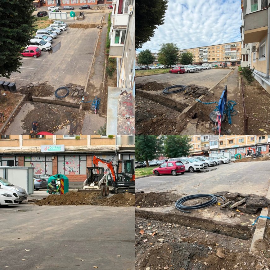 M. Zănoagă: "Siguranța oamenilor nu este opțională!"