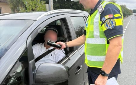 DN 7, plin de șoferi indisciplinați: 83 de amenzi într-o singură zi