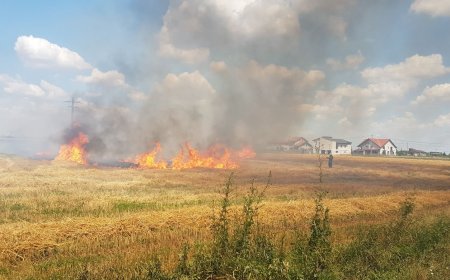 23 de incendii de vegetație în doar 48 de ore