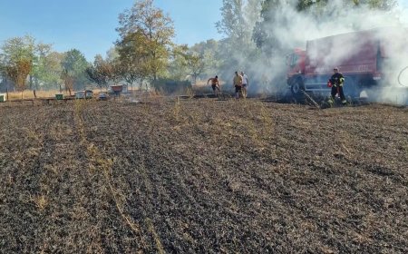 Incendiu la Sinersig!