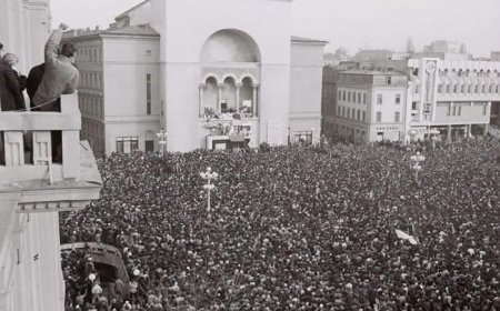 Alexandru Rogobete atacă USR: „Timișoara nu este Fritz. Revoluția din 1989 nu este USR”
