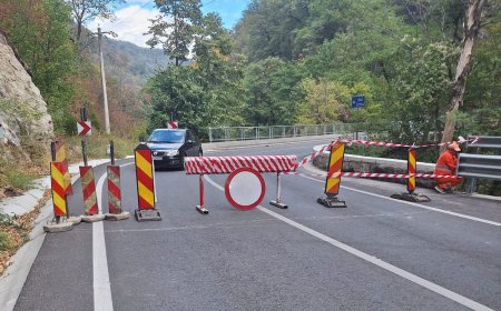 DN 67D, închis la Băile Herculane din cauza incendiului din Parcul Domogled