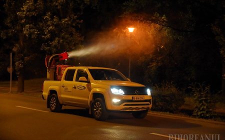 Dezinsecția terestră în Timișoara continuă