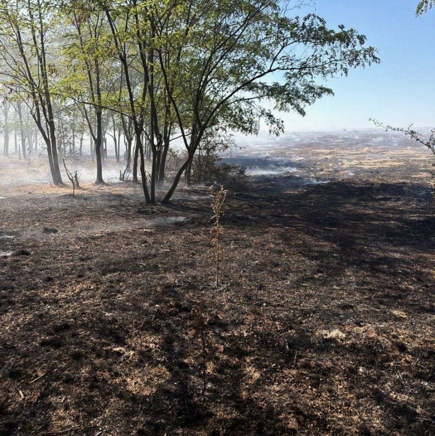 Weekend de foc pentru pompieri