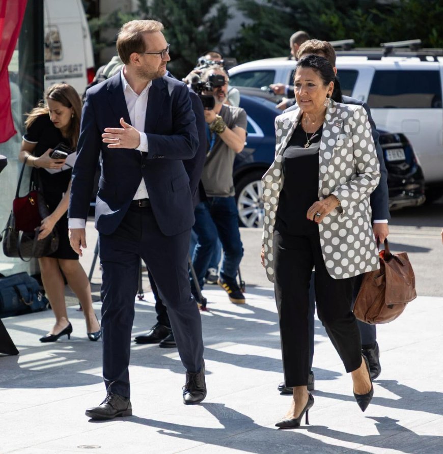 Salome Zurabişvili vine la Timişoara